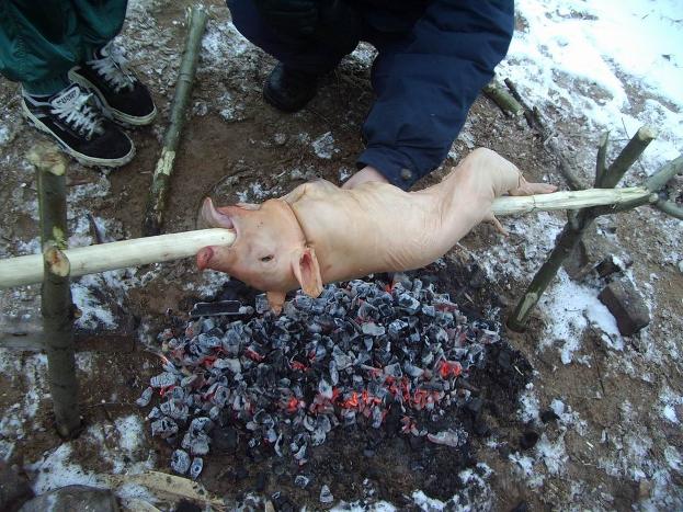 Хитрый засранец!