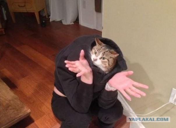 Не совсем здоровые люди из соцсетей....