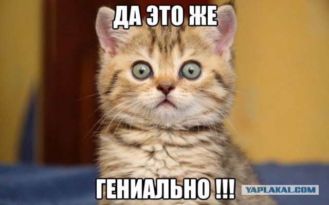 Индийские качки в качалке (разборка)