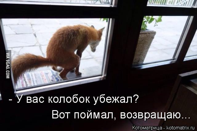 Нежданная гостья