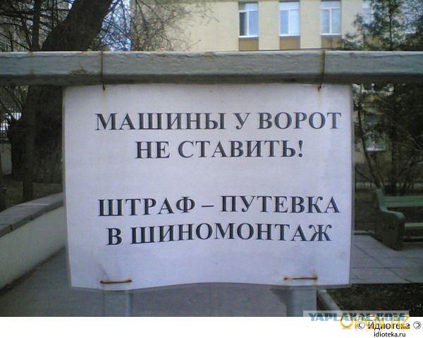 Забавные картинки из Сети