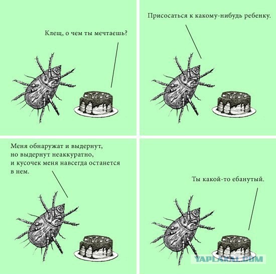 Реальный Тест, энцефалитный клещ против чеснока