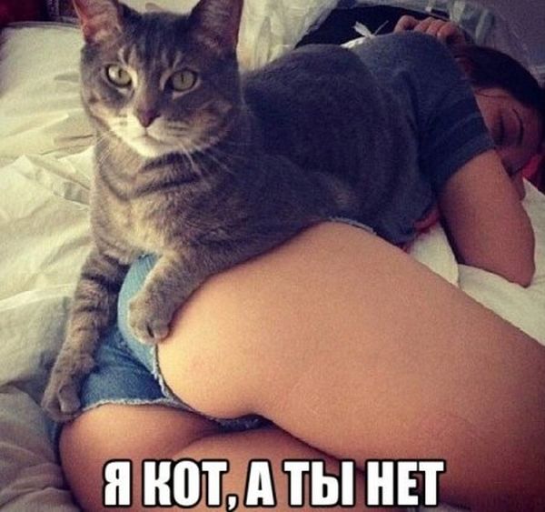 Картинки разные