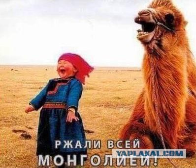 Новая Украинская Полиция