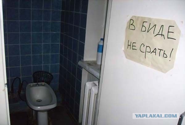Объявление в женской общаге МГУ