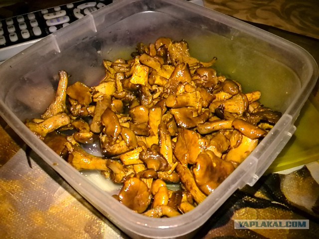заебали кухней.