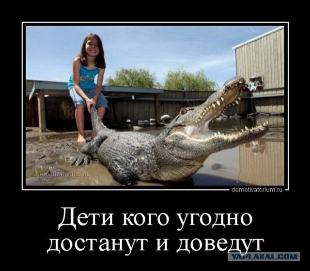 Вы хотите "демов"?