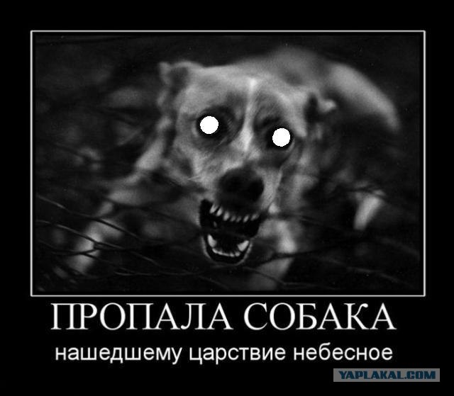 Вот, что вспышка животворящая делает!..