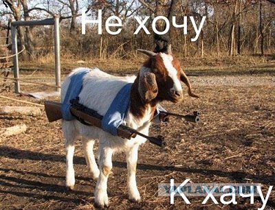 А ведь парнишка прав