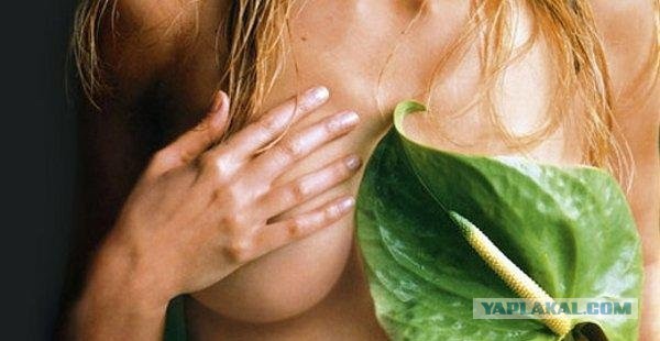 В погоне за ЮКой