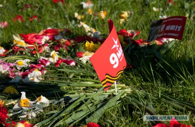Латвия 2012: травля отмечающих 9 мая