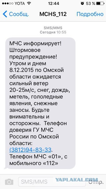 Природа сошла с ума: распустились листья на сирени