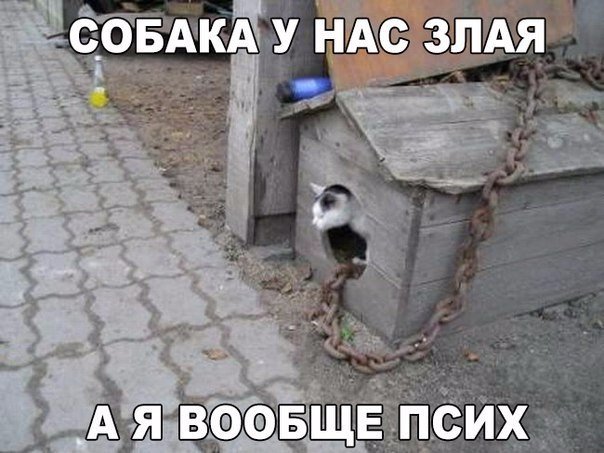 Картинки и демотиваторы