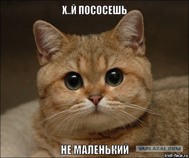 Если вам платить 1000 евро - вы будете работать?
