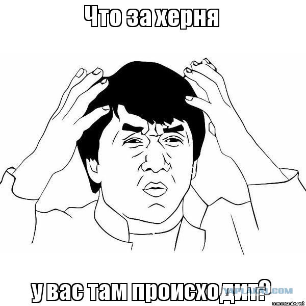 24 фотографии, на которых творится черт знает что