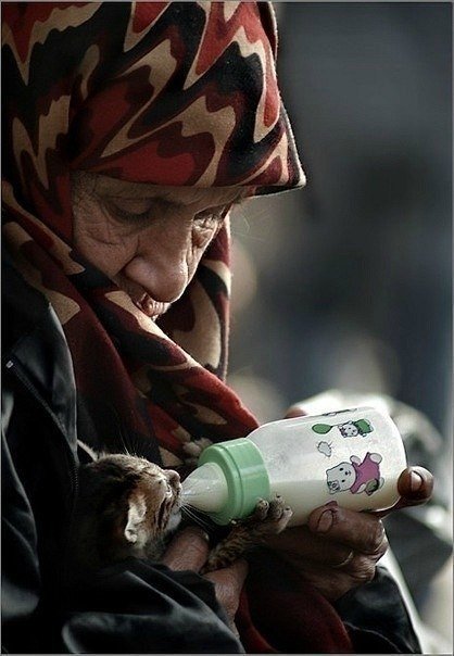 Веселые картинки