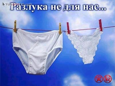 ТРУСЫ, ФУТБОЛКИ, МАЙКИ, ЛИФЧИКИ