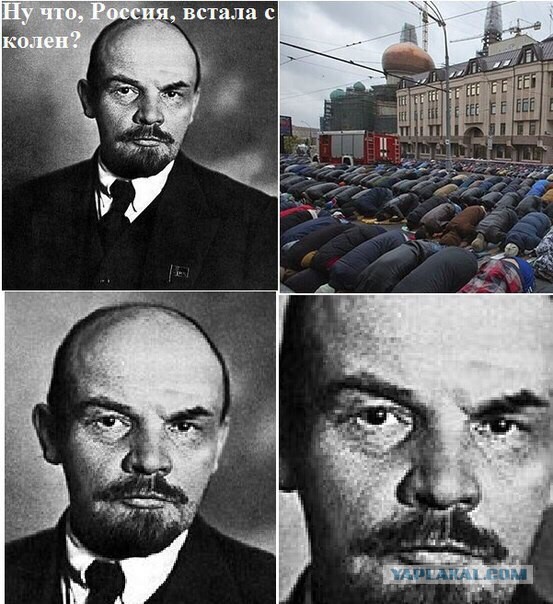40 улыбательных картинок