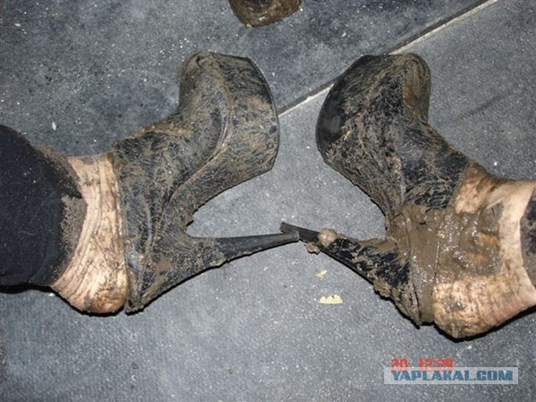 Интересные моменты из жизни  деревни