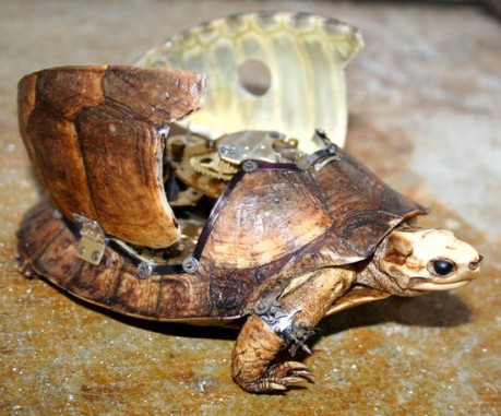 Мигранты делят Париж