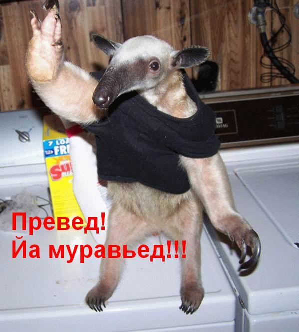Парочка видео из японского зоопарка