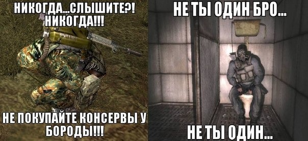 Фанатам игры С.Т.А.Л.К.Е.Р посвящается