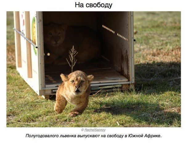 Интересные и веселые картинки