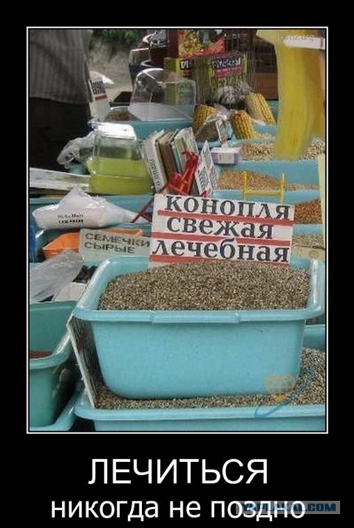 Юмор не для всех