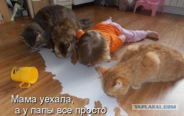 Жарко! Дружною толпой - на водопой!