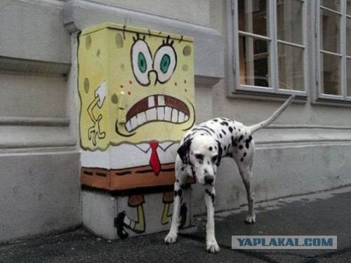 Соцсети - и смех и грех