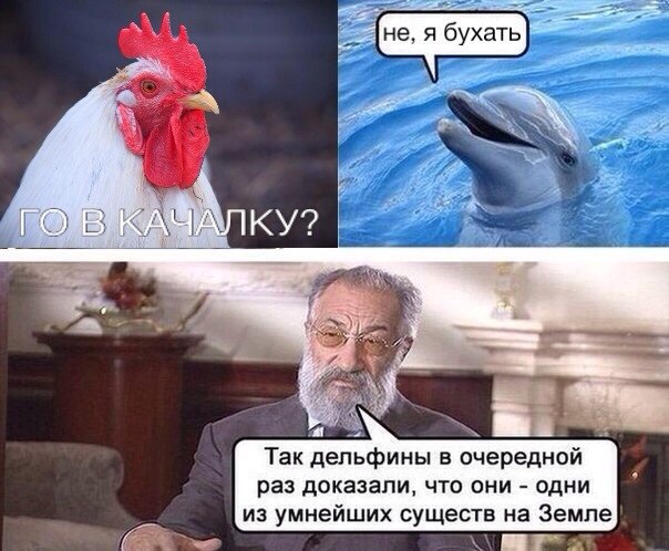 Трезвенникам, язвенникам - вход воспрещён!