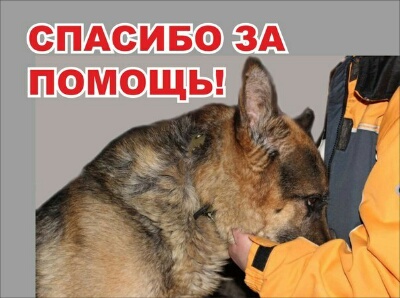 Спасение черныша