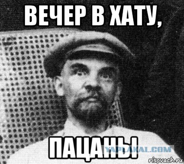 Любимка вернулся!