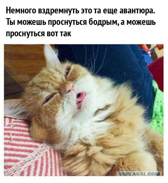 Подборка интересных и веселых картинок