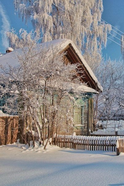 Моменты, запечатлённые на фото и просто позитив 5