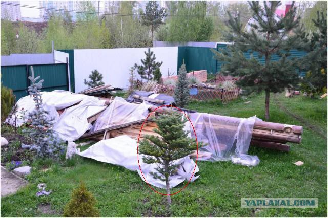 Строительство бани