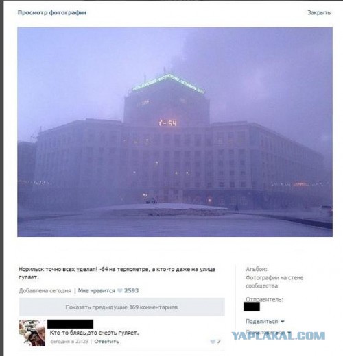 Суровые норильские дачи.