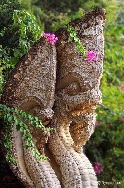 Моменты, запечатлённые на фото и просто позитив 5