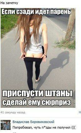 Очередная порция перлов