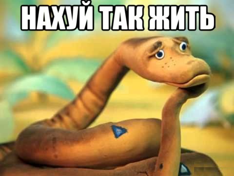 Может не все так плохо в Северной Корее?