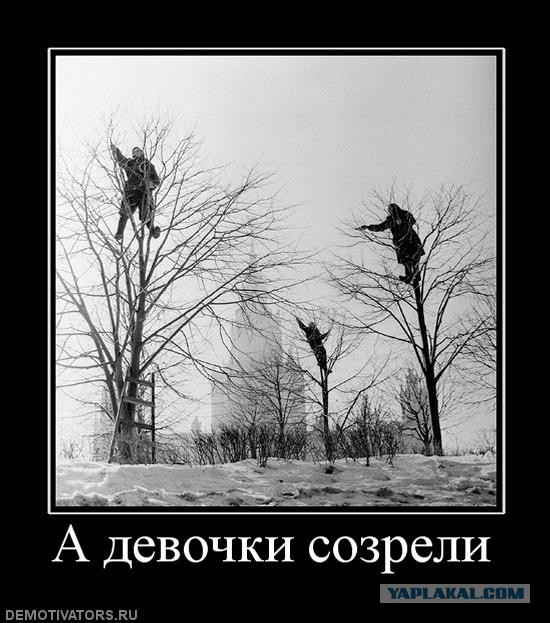 К ЕГЭ готова!