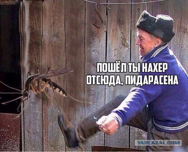 Комары на рыбалке