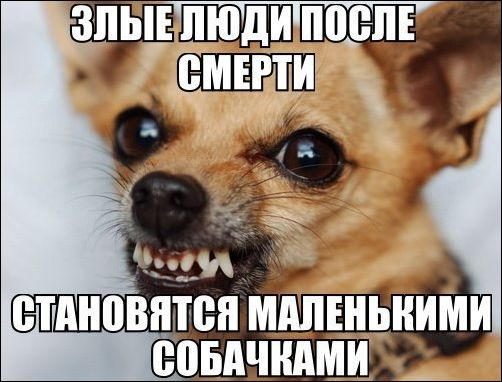 Всякие странные картинки