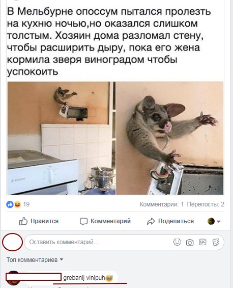 Смешные комментарии из социальных сетей 23.03.2018