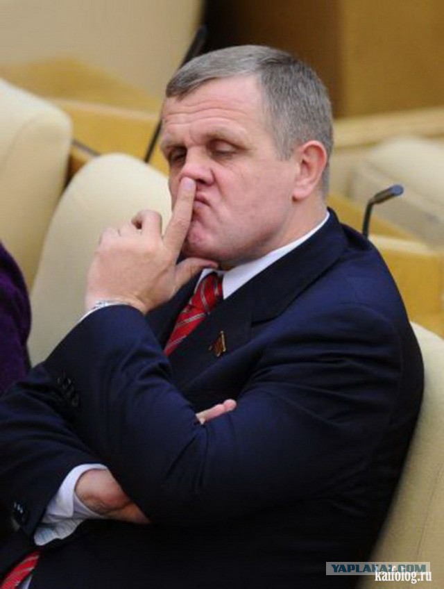 Депутат сочи напсо. Депутаты государственной думы. Депутаты госдумы фс. Депутаты госдумы фс. Депутаты госдумы фс.