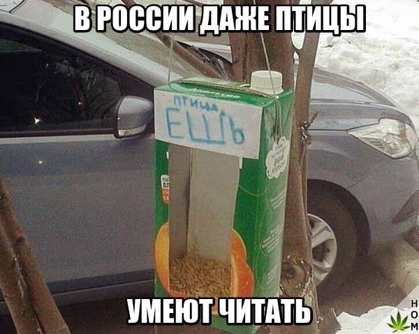 Подборка прикольных фоток