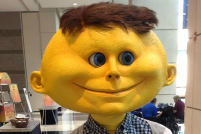 Фото, на которых все могло бы быть нормально, если бы не одно но...