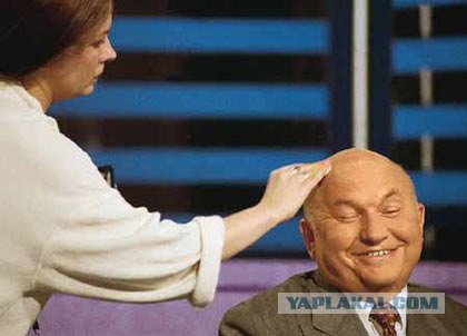Два кожаных друга