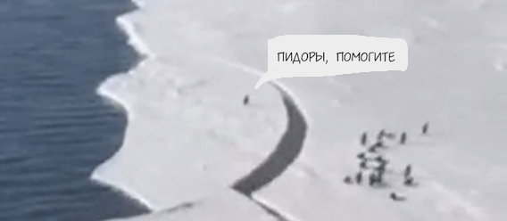 Беги, малыш!
