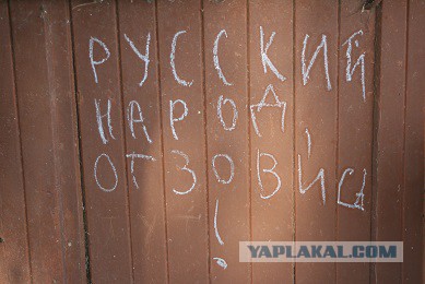 Быдло туристы